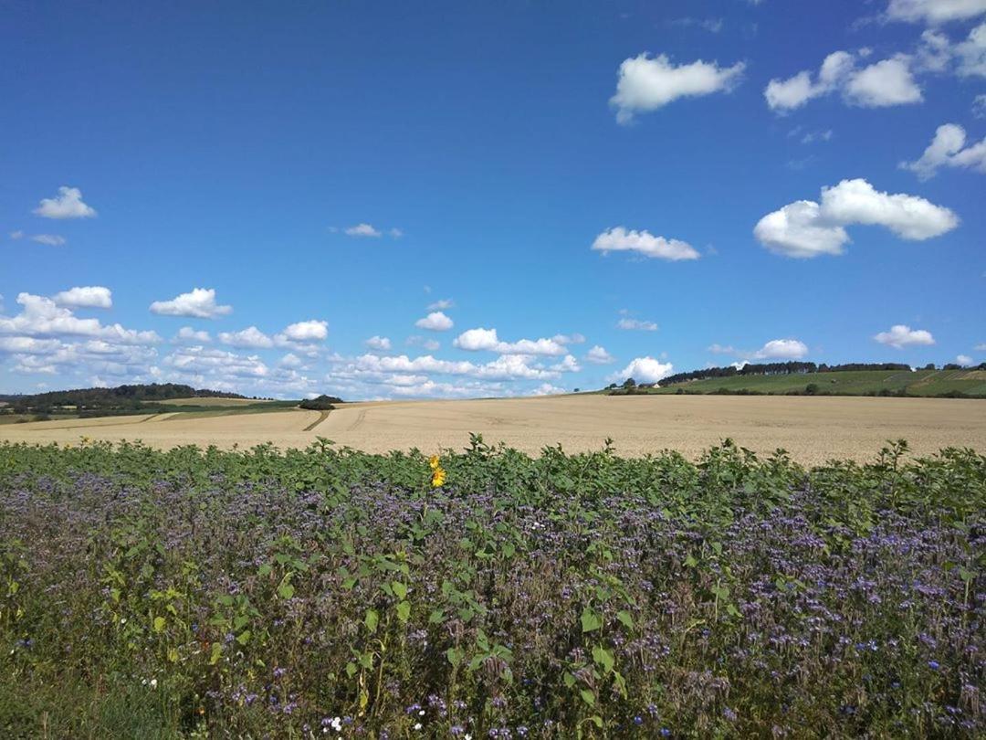 Obere Asshoff Zwischen Odenwald, Taubertal Und Bauland * Berolzheim