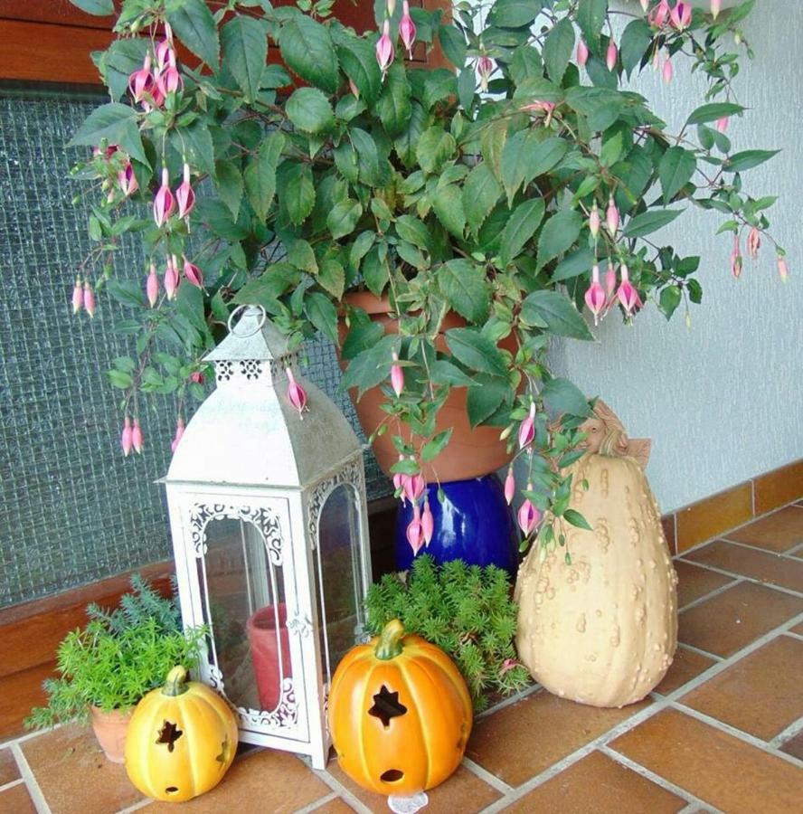 Obere Asshoff Zwischen Odenwald, Taubertal Und Bauland Apartment